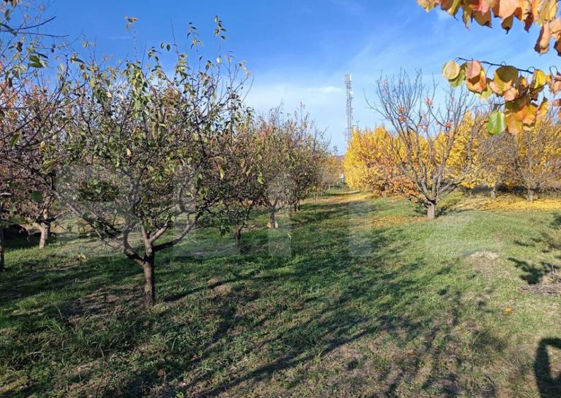 Teren Intravilan 6300 mp Magurele Prahova , Oportunitate ! - 4