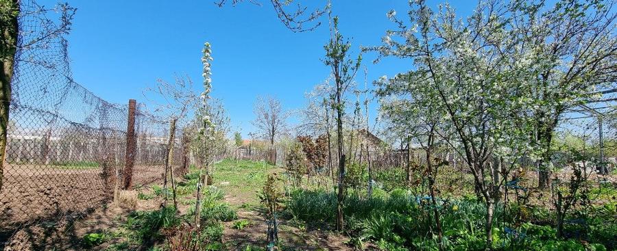 Casa - Caracal Olt - 16