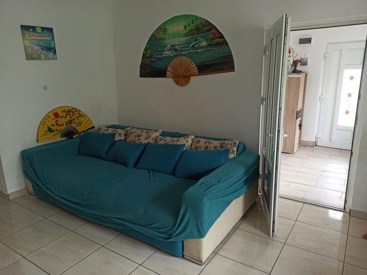 Vand casa 3 camere in bujac, 540 mp teren - 4