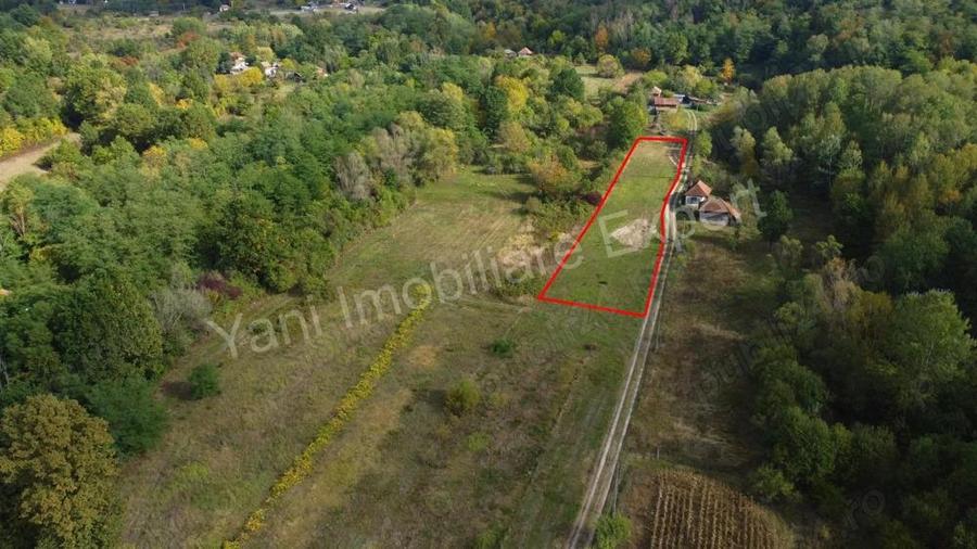 Teren de vanzare in comuna Poienarii de Arge?, sat Ioanice?ti, jude? Arge?. - 10