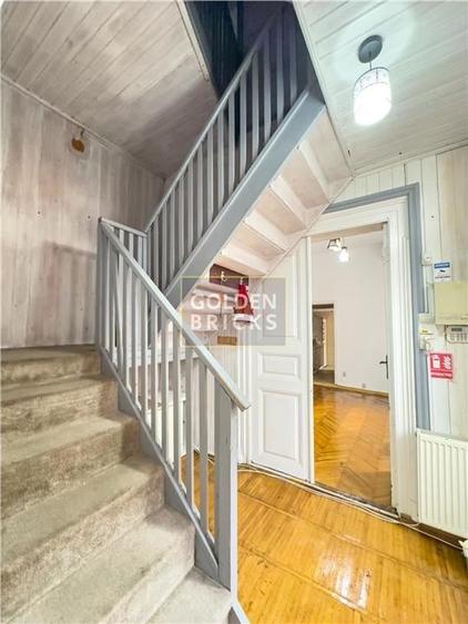 Pache Protopopescu | PROTV | Vizibilitate |  Curte 250 mp | Garaj - 10