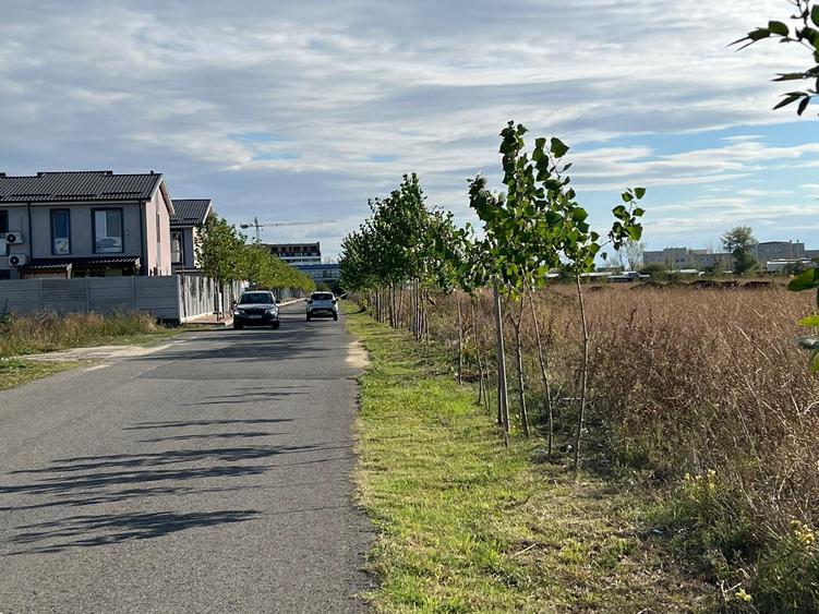 Titan -Policolor-drum gura Saratii ,7290 mp - 5