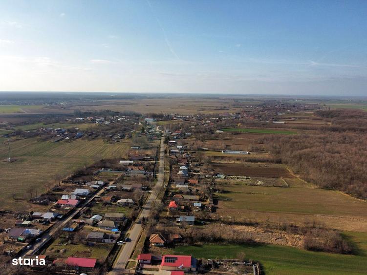 Ferma si livada de meri in judetul Ilfov - 8