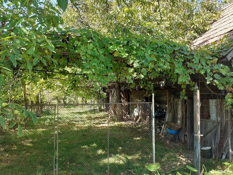 Casa cu teren ?i anexe - 8