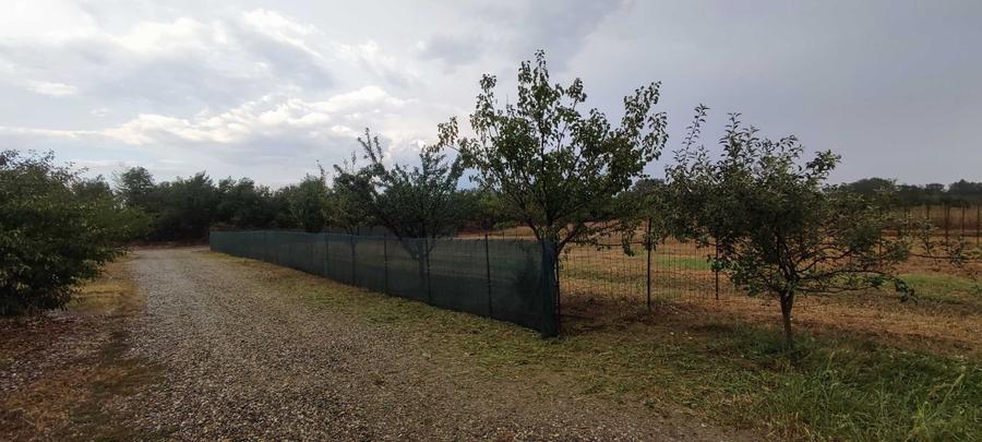 Oază de liniște și natură: Teren intravilan de 940 mp în Hemeiuș, Bacău - 4