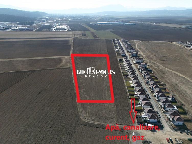 Teren 12.500 mp Ghimbav – Cartierul Florilor | Ghimbav | Brașov - 3