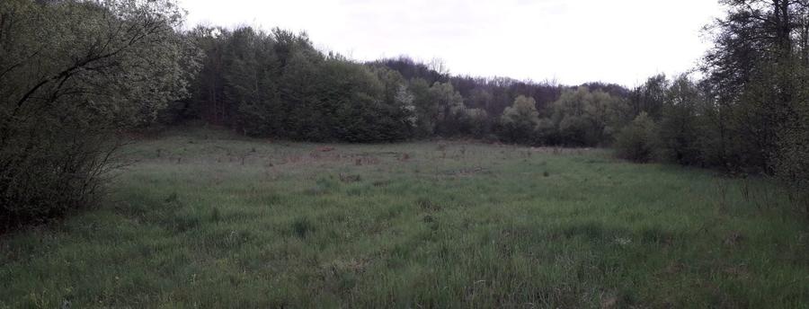 Teren vacanta.Teren la tara.casa vacanta.padure.deal PetrisCorbesti AR - 7