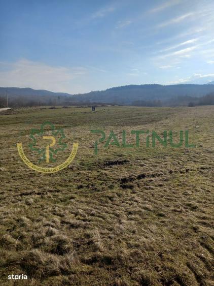 Vindem teren Sibiu, Valea Lupului, priveliste deosebita - 4