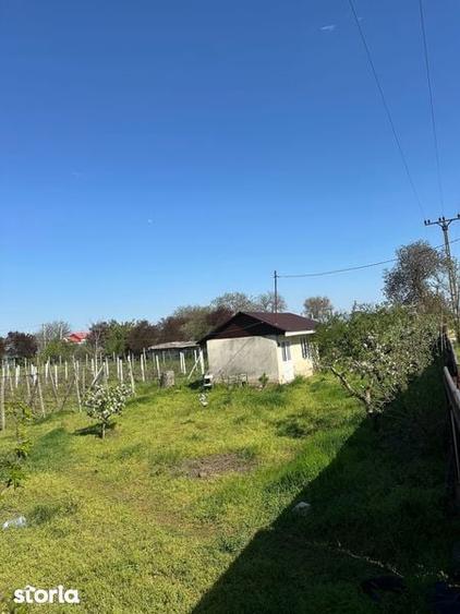 Vand loc de casa - 2