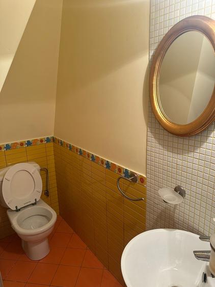 VILA CU IZ PROVENSAL  CU TEREN GENEROS SI PISCINA EXTERIOARA INCALZITA - 36