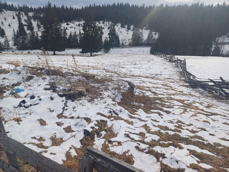 Vand teren intravilan muntele rece - 4