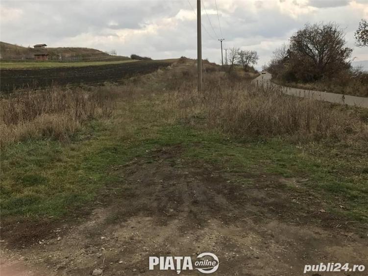 Teren extravilan - 3
