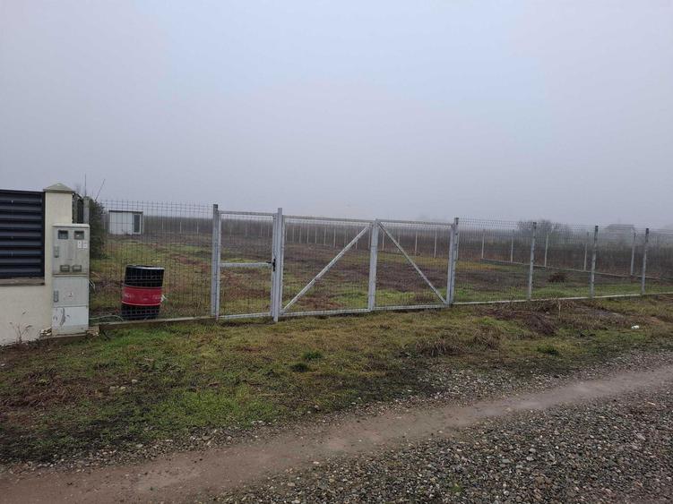 Vanzare teren 1000 mp Gradistea, Ilfov - 4