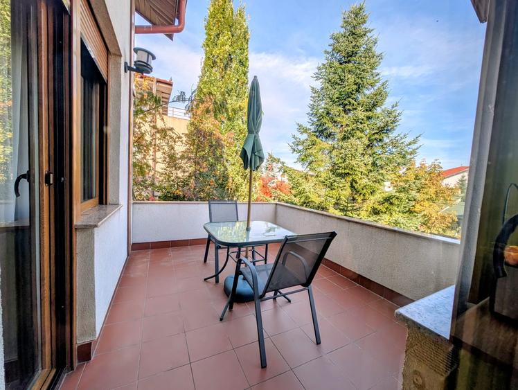 Jiului-Coralilor-Damaroaia,eleganta,robusta,garaj,curte intima,vegetatie matura - 38