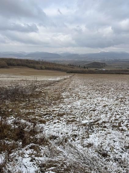 Teren de vanzare Nimigea de Jos, Taure - 6