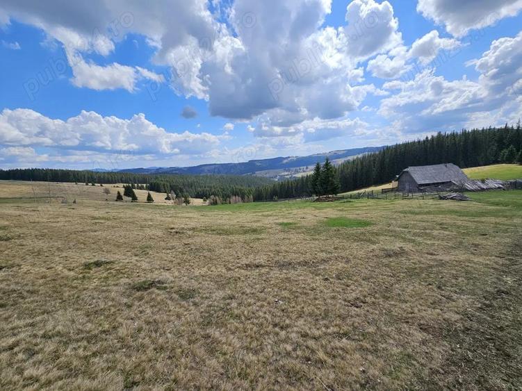 Teren de vanzare 15 hectare in Bucovina Moldova Sulita zona Lucina - 9