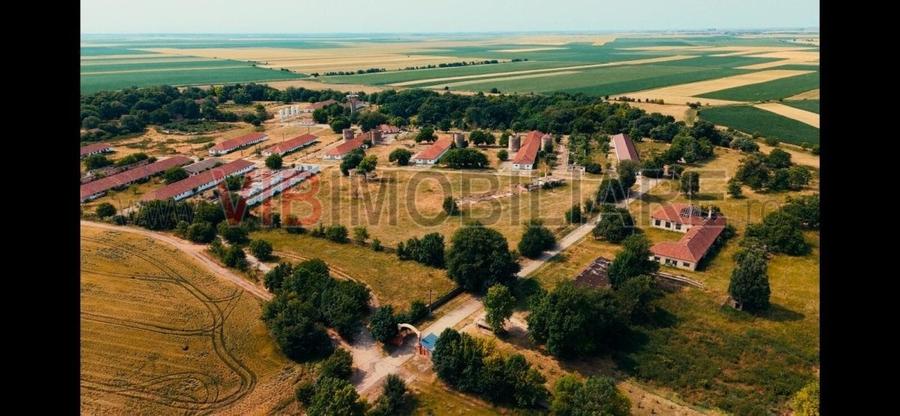 Ferma complet utilată – 30 ha teren comasat cu 11.500mp grajduri renovate Timiș - 3