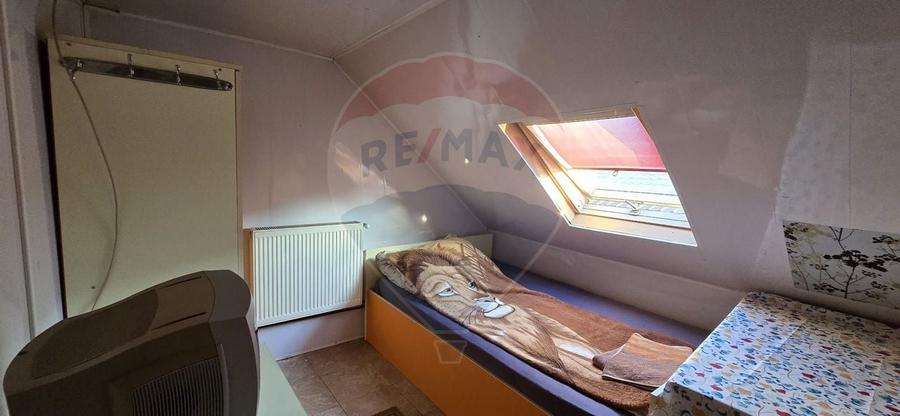 PENSIUNE IN CHISINEU CRIS - 8