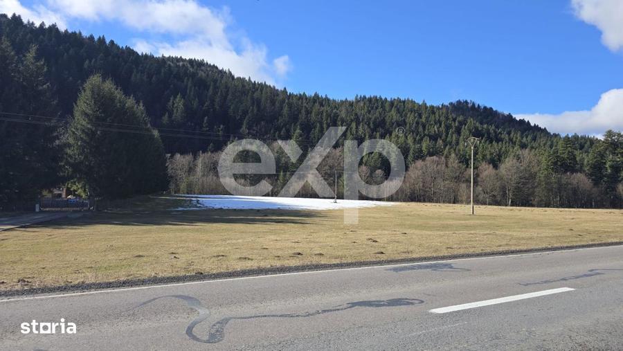 Teren extravilan 19.200 mp DN1A Sacele, Bradet | Front stradal 130 - 7