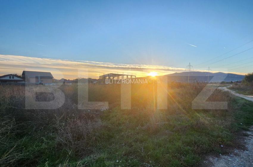 Teren extravilan, 4000 mp, zona Arex