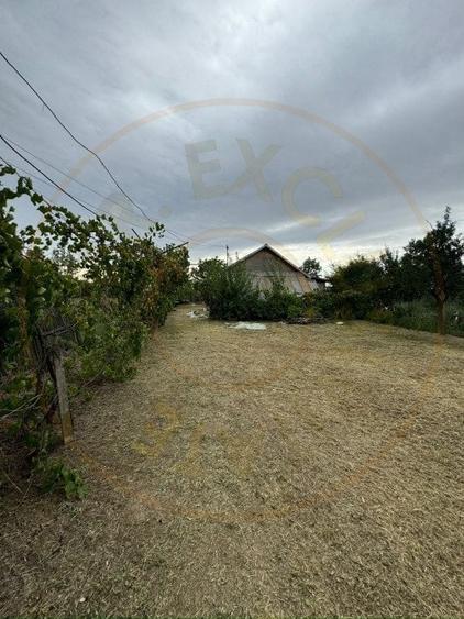 Casa traditionala Recea!!! - 7