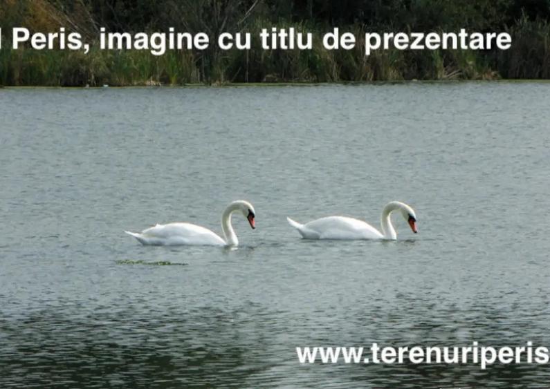 Terenuri IN RATE 500 /luna, teren 25 Peris, Tancabesti - 5