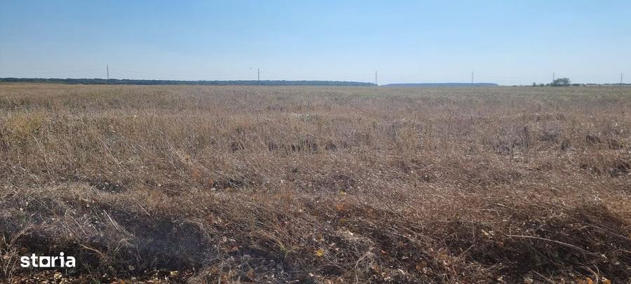 Oportunitate de investitie | Teren intravilan de vanzare | 10.000 mp - 5