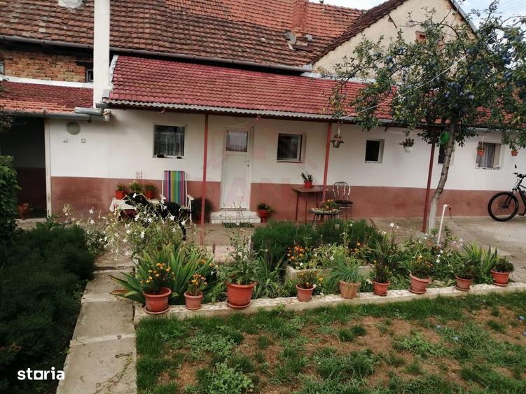 Proprietate Cu 2 Case Si Curte\Valea Timisului\Jud.cs - 4