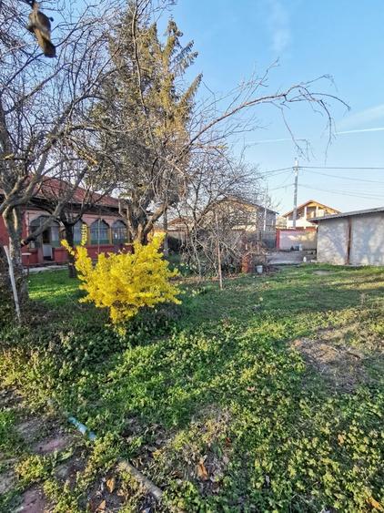 Frumusani, aproape de Bucuresti, casa cu teren 1.000 mp - 9