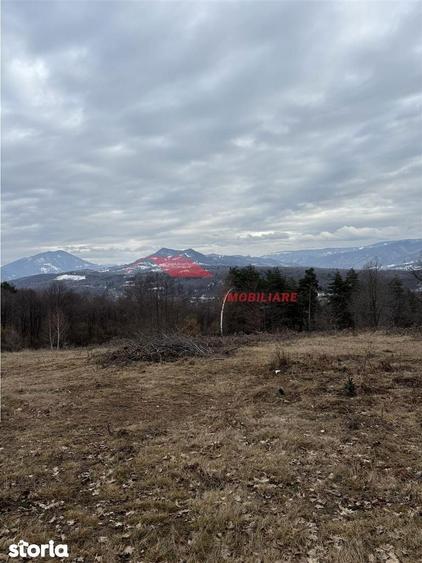 Teren cu 2 izvoare, Prundul Bargaului - 10
