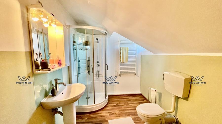 Proprietate Exceptionala cu Potential Dublu in Valea Ursului, Arges - 14