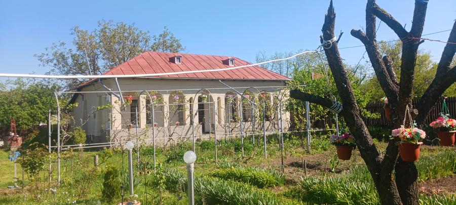 Casa de vanzare Comuna Viisoara-Judetul Teleorman - 18
