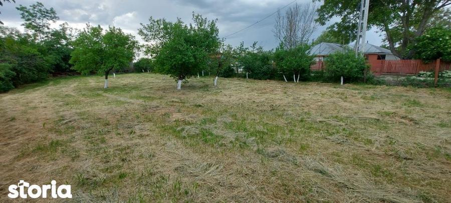 Teren intravilan de vanzare | 900 mp | Movila | Toate utilitatile - 5