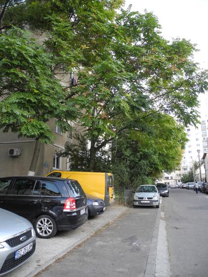 Crangasi-str.Padureni,3min parc si metrou,piata! - 9