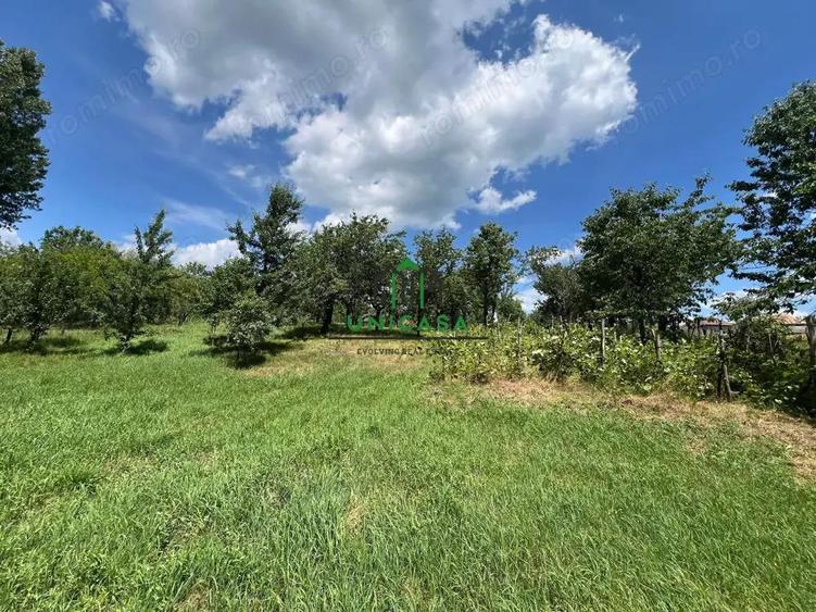 Teren Fedelesoiu/3200 mp/Intravilan - 7