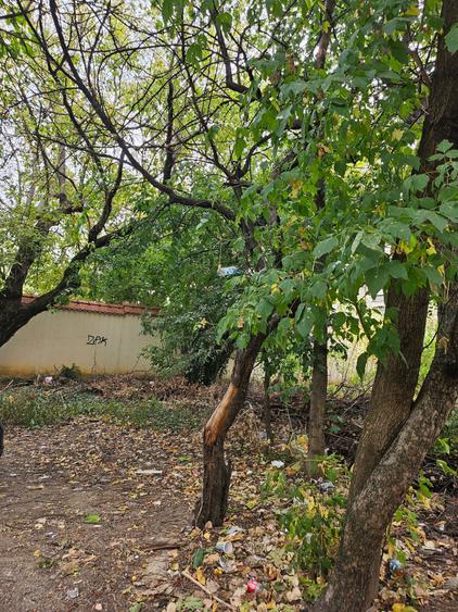 Titan Policlinica , Aleea Calistrat Hogas - 4