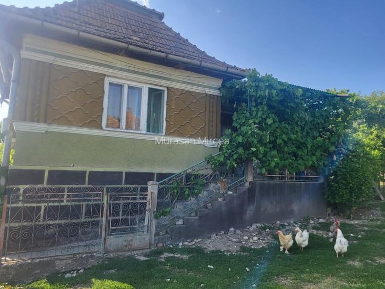 Vanzare casa sat Asinip, comuna Lopadea Noua, jud Alba, la 15km de Aiud