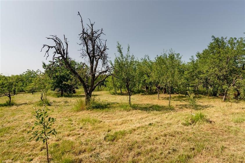 Casa cu living+3 camere cu panorama si teren mare pe Sofiei - 50