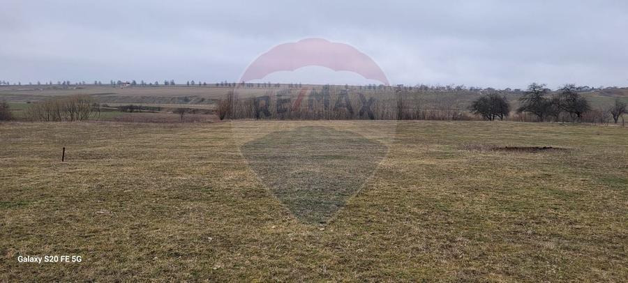 Teren 2925 mp comuna Mitocu Dragomirnei - 17