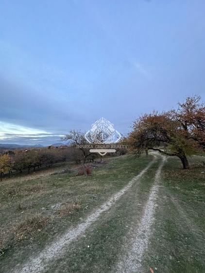 Teren 7199mp Intravilan cu Vedere Panoramica Superbă, Ideal Investitie - 12