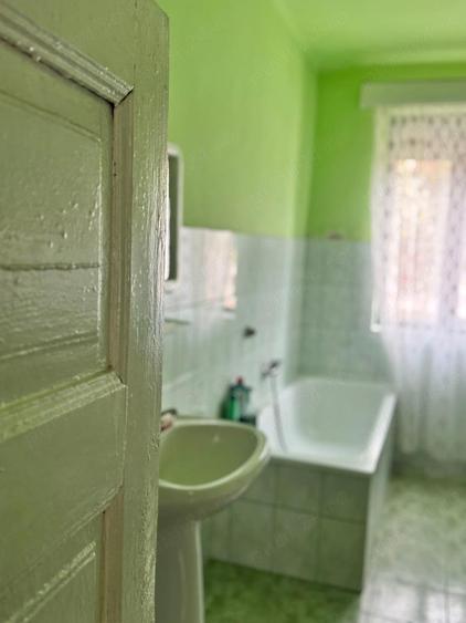 Casa de vanzare,localitatea Criciova,Jude?ul Timi? - 4