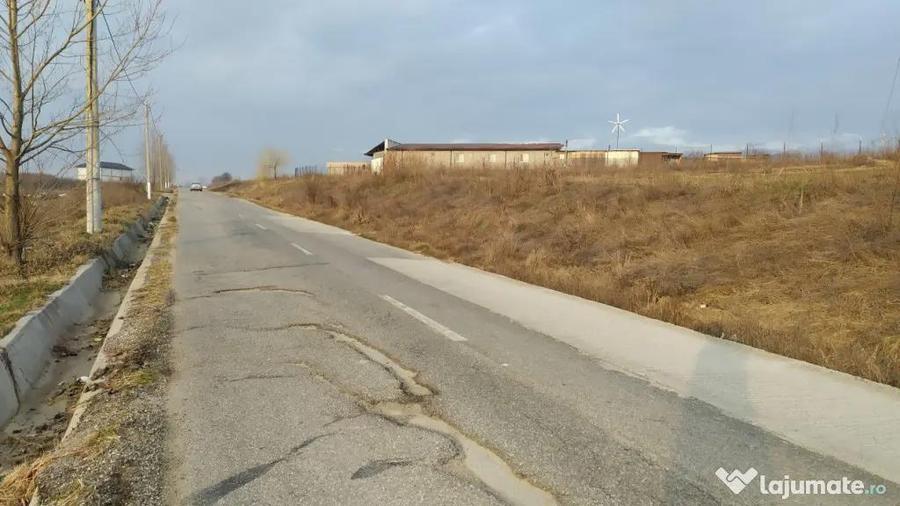 Teren intravilan Pielesti , suprafa?a 10.000mp deschidere - 1