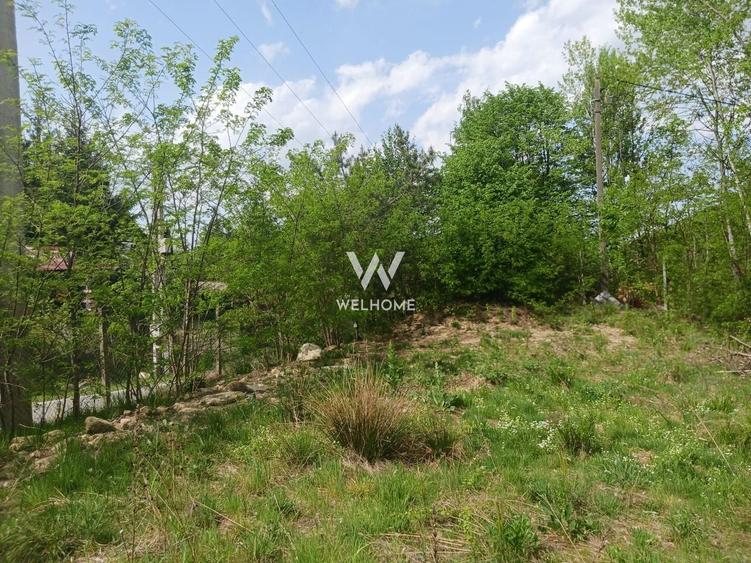 Teren Extravilan situat la intersectia DN1 cu Transfagarasan - 3