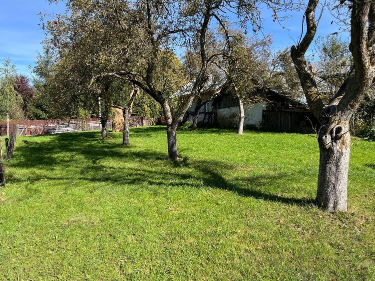 Teren intravilan Breaza PH / Podu Corbului - vanzare - 4