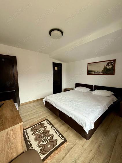 Cabana Colibita cu 18 ari teren - 3