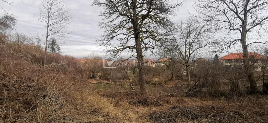 Casă cu 2 camere cu Teren 48 Mp în Gheorghieni