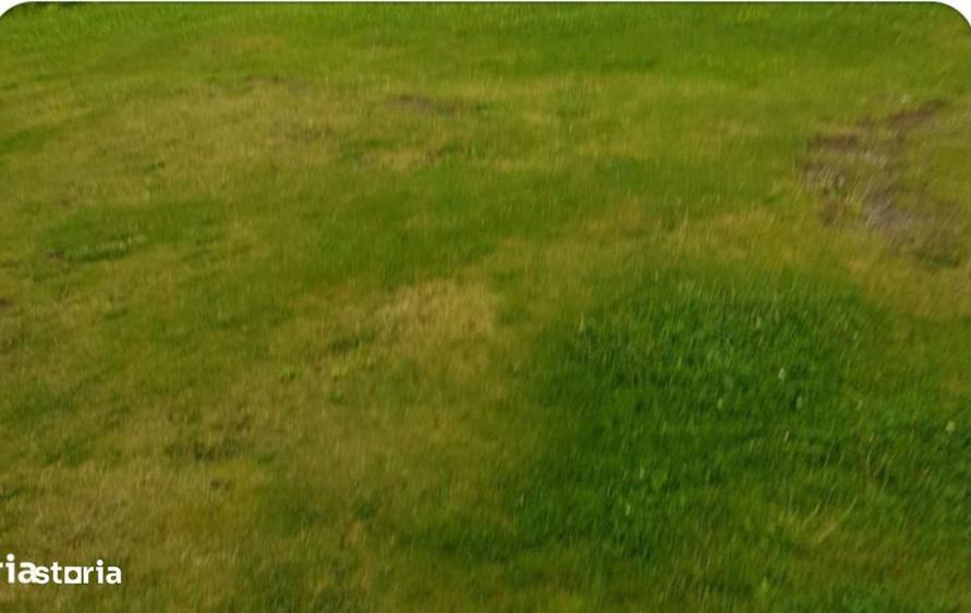 Teren intravilan, perfect drept, 1250 mp,in Herghelia, Ceasu de Campie - 1