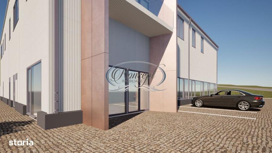 Teren industrial cu autorizatie hala, Valea Chintaului - 2