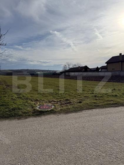 Teren intravilan, 1500 mp, zona Albesti - 1