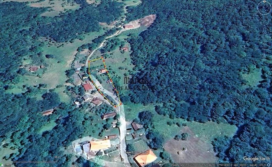 Cabana, anexe si 2000 mp teren intravilan in Taratel, Brad - 4